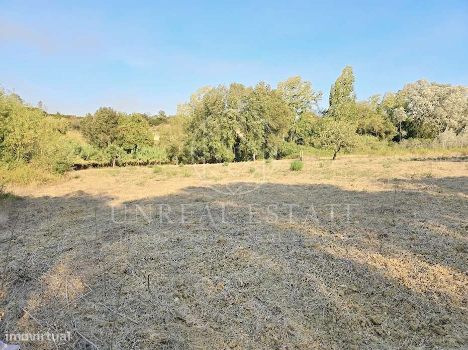 Terreno Misto  Venda em Torres Novas (São Pedro), Lapas e Ribeira Bran-8