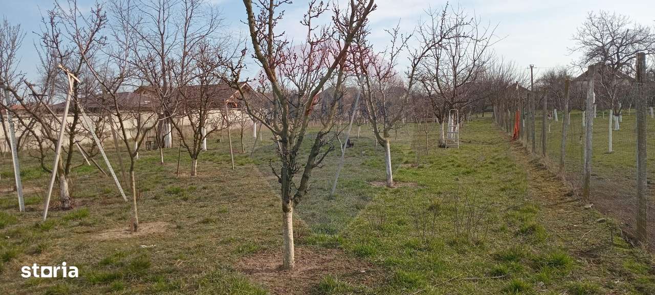 Teren Vladimirescu-  Zona Excelenta  2954 MP INTRAVILAN!!!-1