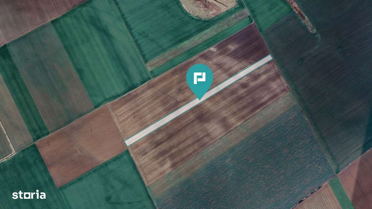 Teren 30.000 mp la drum asfaltat – Peciu Nou - Imagine principală: 4/4