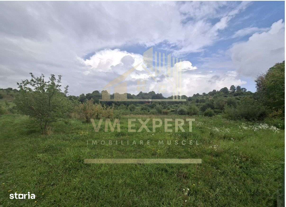 TEREN 20.621 MP CAMPULUNG - Imagine principală: 4/7