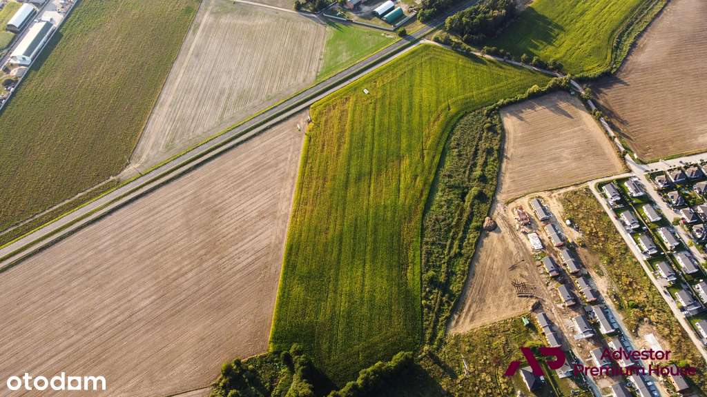 MPZP - produkcja i usługi, dobry dojazd Pzń/Środa - Pełny obrazek: 5/15