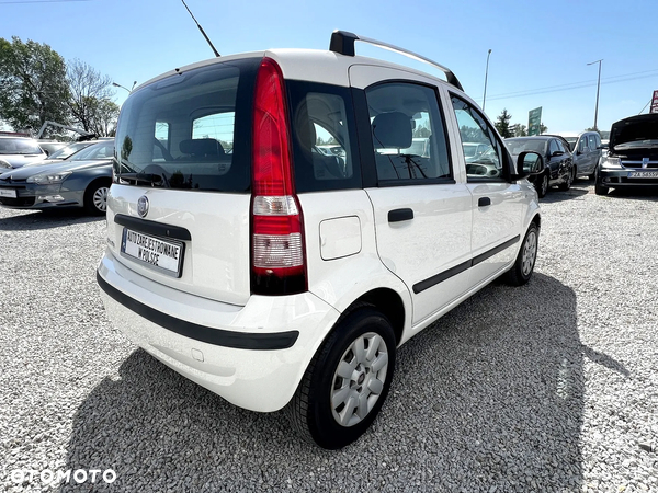 Fiat Panda 1.2 Active Eco - 6