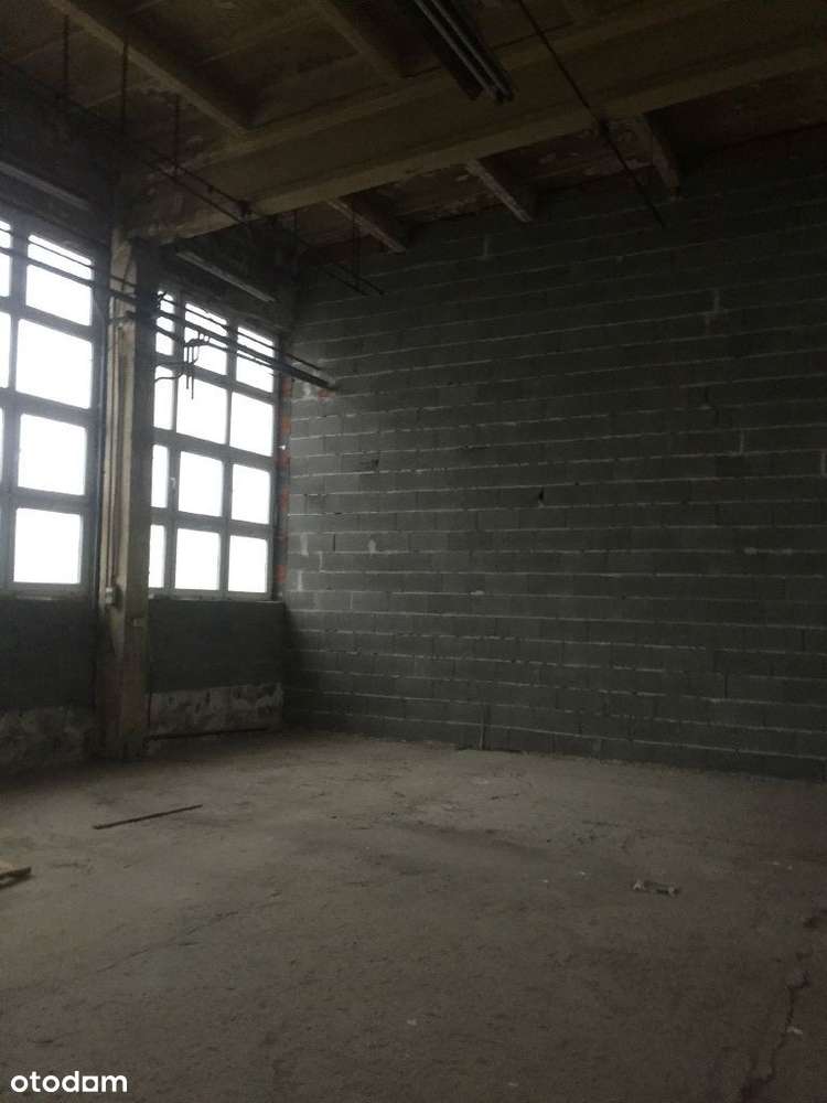 Hala/Magazyn, 450 m², Lubliniec - Pełny obrazek: 4/17