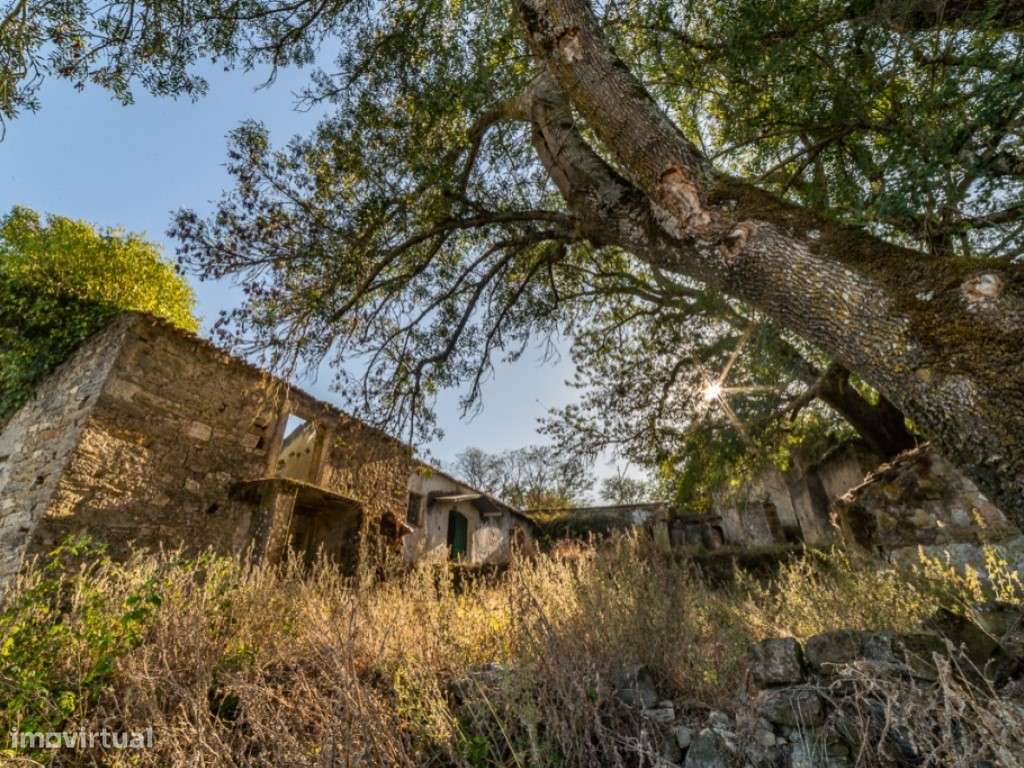 Quinta - Freiria - Sobral Monte Agraço-16