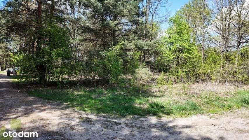 Działka blisko Kampinoskiego Parku Narodowego-3