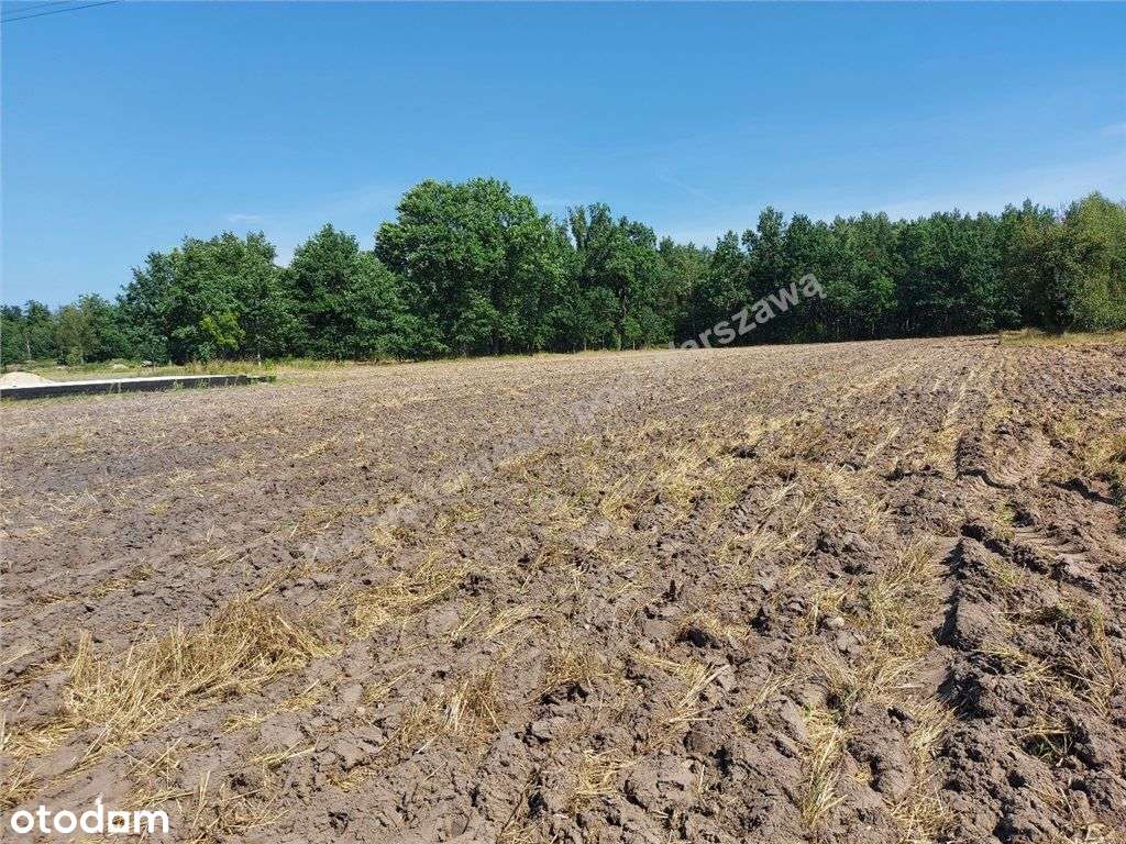 Wymiarowa Działka Pod Twój Wymarzony Dom - Pełny obrazek: 5/6