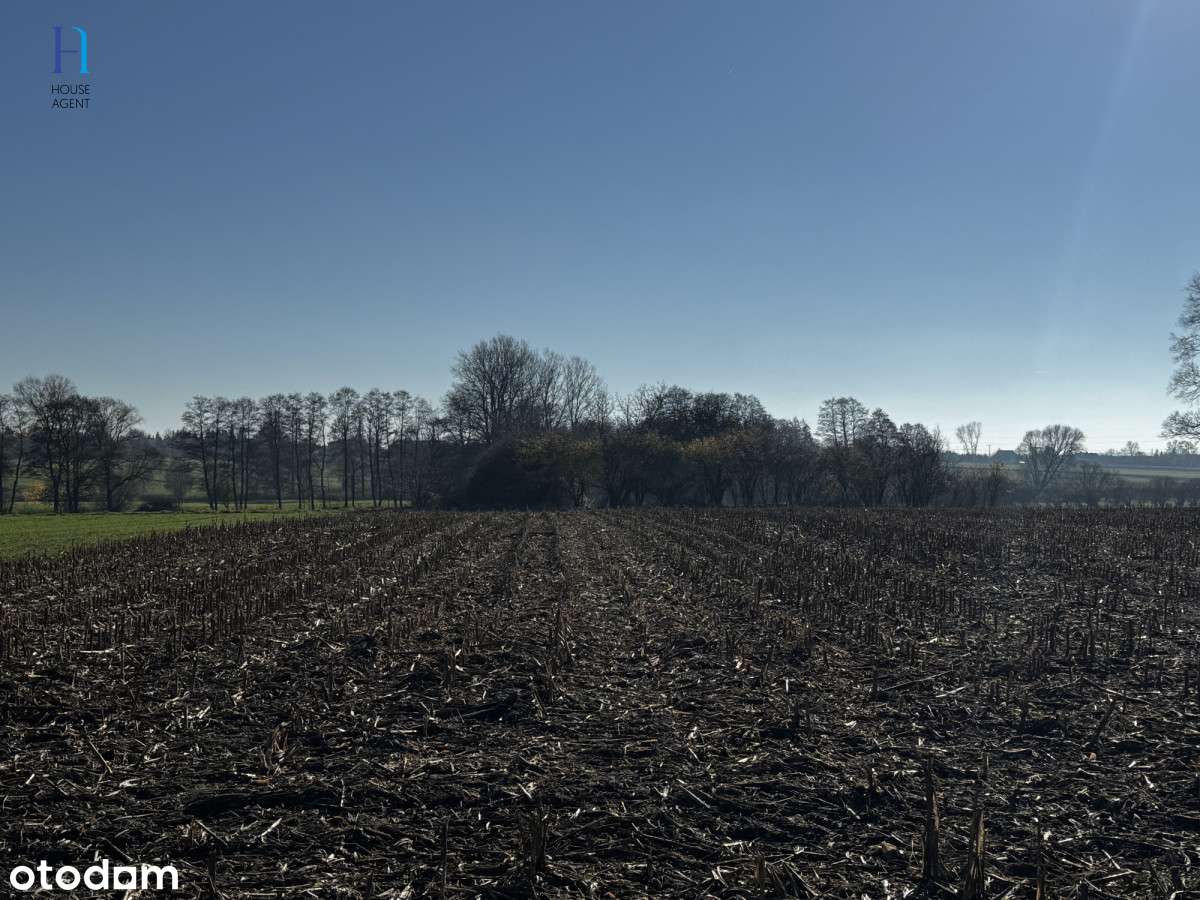 Kolonia Łaznów - działka w spokojnej okolicy - Pełny obrazek: 4/16