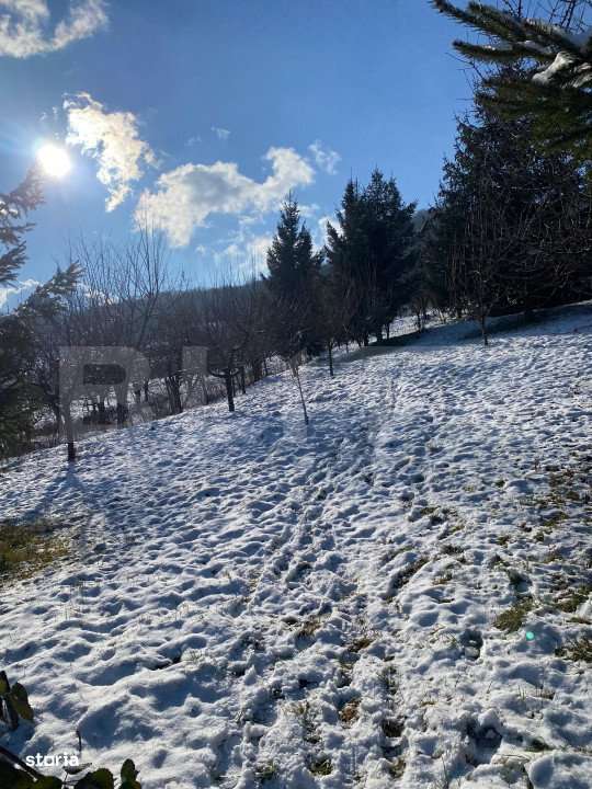 Teren intravila de vanzare, 1.100 mp, in Bistrita, pe strada Drumul Du - Imagine principală: 3/12