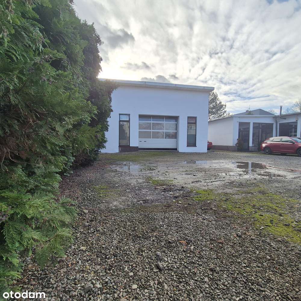 Hala Magazyn Lokal do wynajęcia  87m² z parkingiem Katowice - Pełny obrazek: 3/14