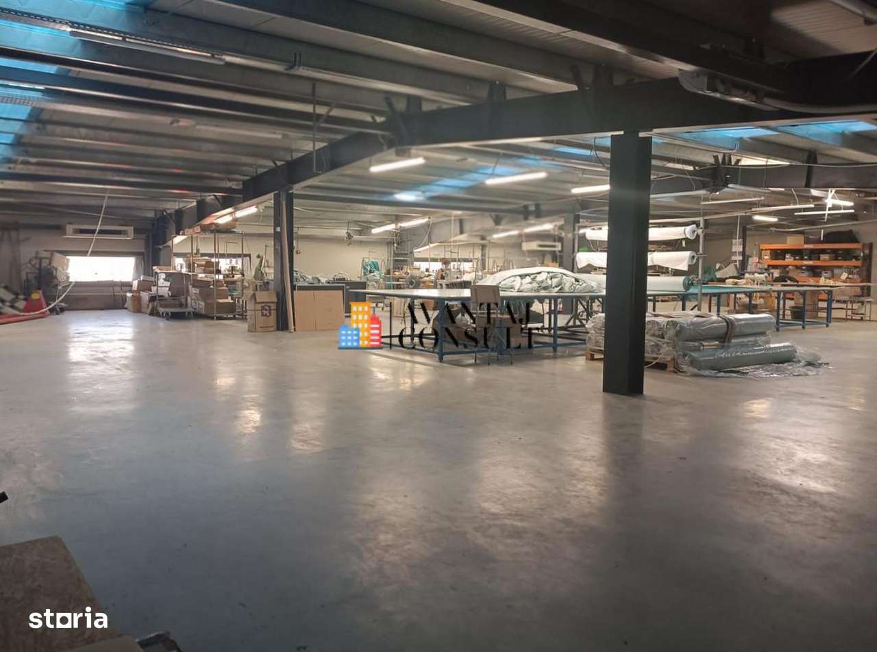 Hala 2728 mp Magurele - Imagine principală: 5/15