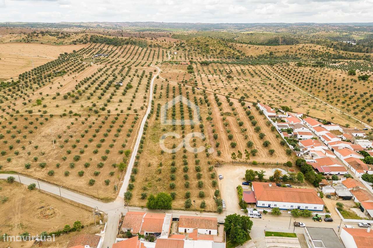 Terreno de 16019 c/ viabilidade de construção para 17 lotes | Amieira - Grande imagem: 4/22
