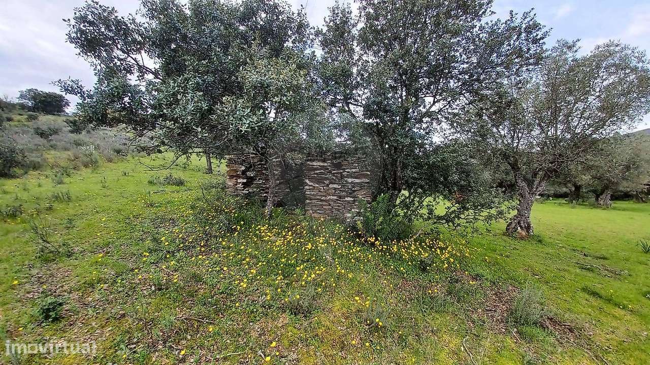 Terreno  para venda - Grande imagem: 5/5