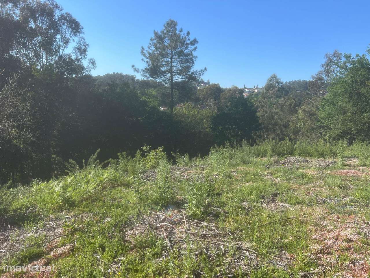 Terreno, 1 100 m², Fornelos - Grande imagem: 5/7