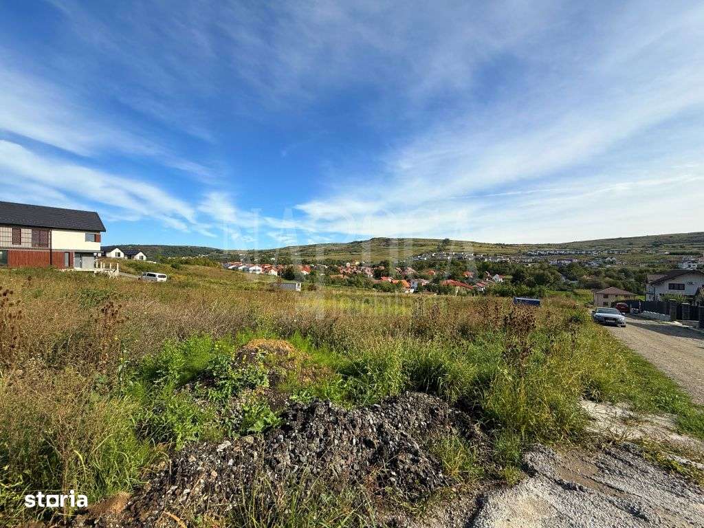Teren intravilan pentru constructii de vanzare in Chinteni - Imagine principală: 2/4