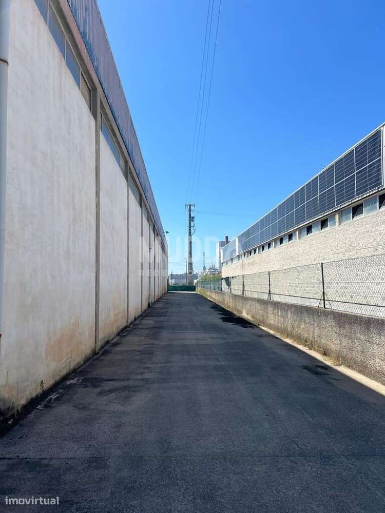 Excelente armazém para arrendar na zona industrial de Oiã - Grande imagem: 4/6