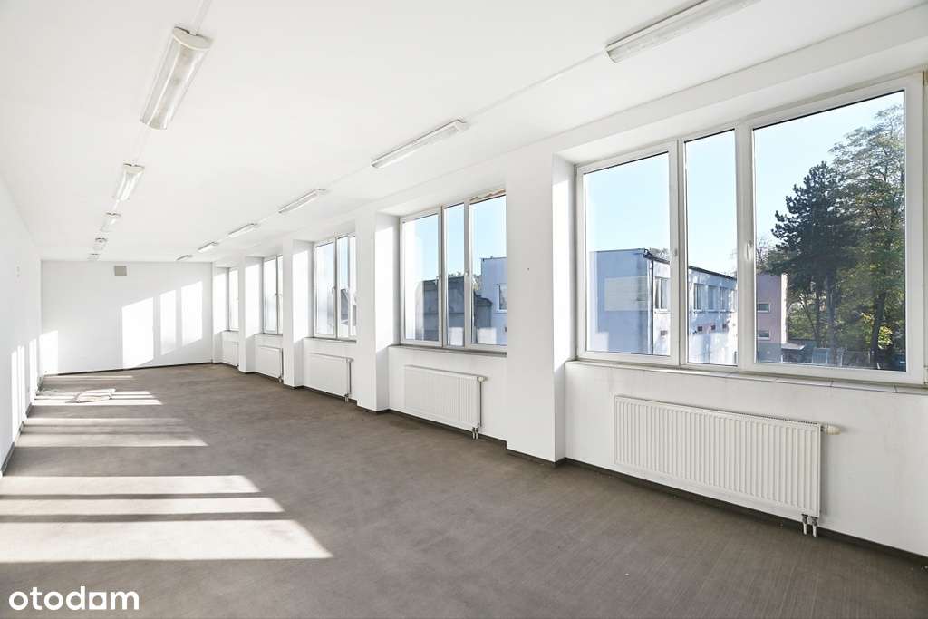 Ogrzewany magazyn, 10 bram, plac manewrowy. - Pełny obrazek: 5/5