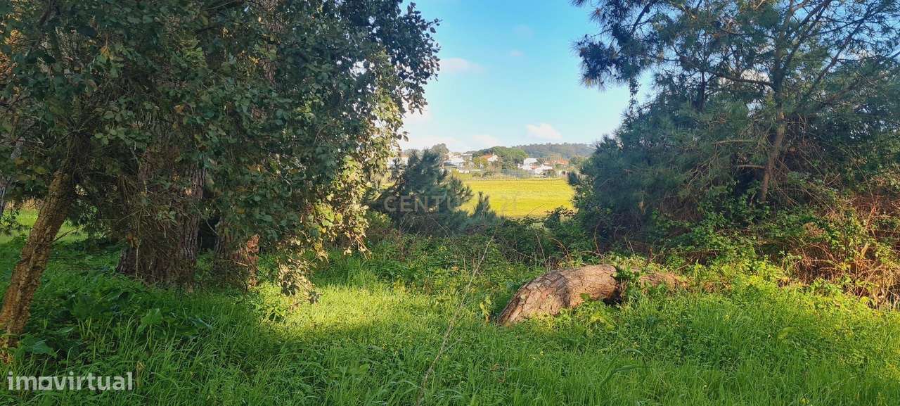 Terreno Amplo em Zona Tranquila com Potencial Agrícola Próximo das Pra-1