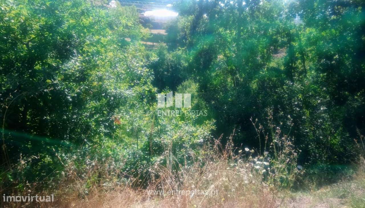 Venda Terreno p/ plantação agrícola, Soalhães, Marco de Canaveses - Grande imagem: 5/30