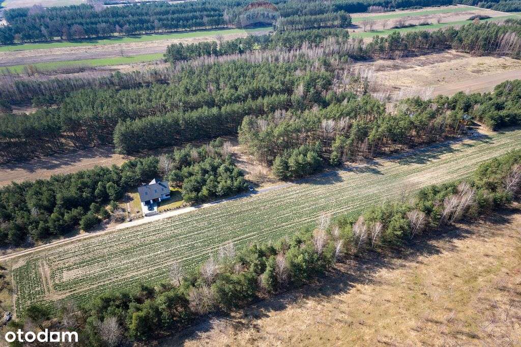 Działka budowlana Dębinkach niedaleko Serocka - Pełny obrazek: 5/12