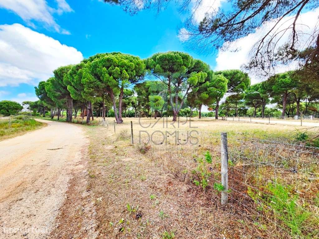 Lote de Terreno de 33.300m2, com lagoa, na Mata do Duque 1, Santo E...-23