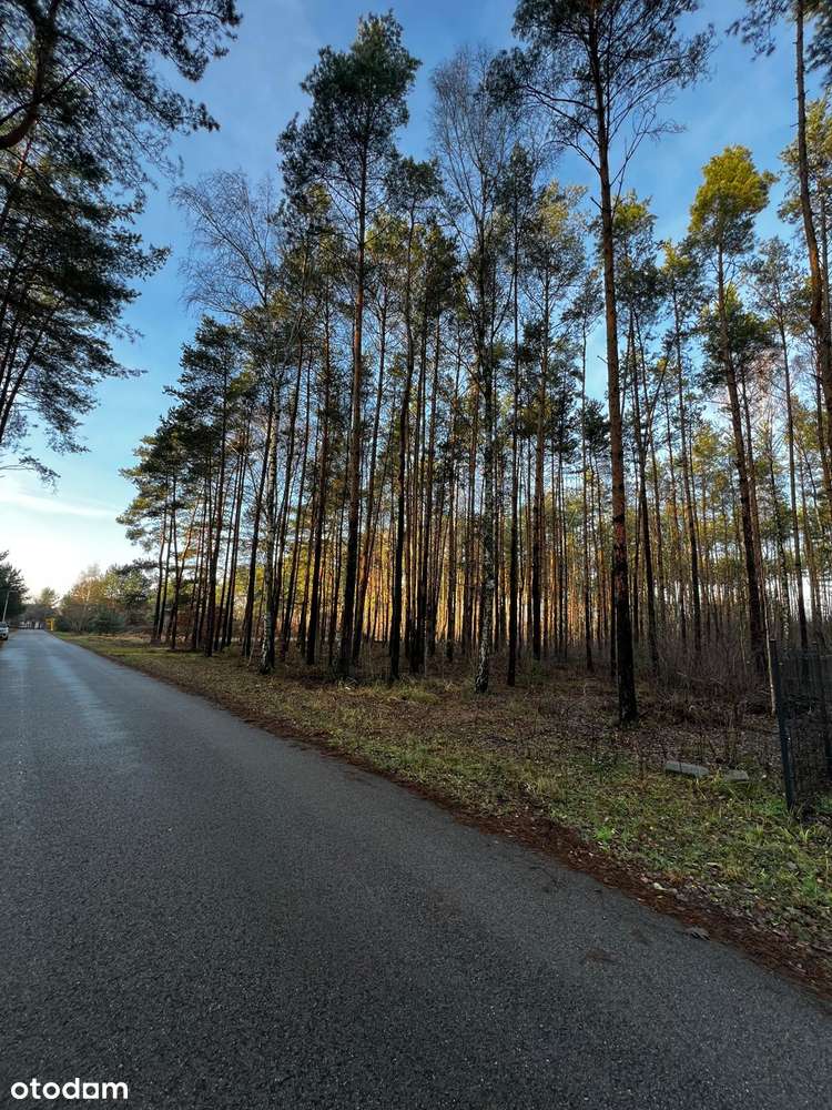 Wyjątkowa działka bezpośrednio przy lesie - UNIKAT - Pełny obrazek: 5/6
