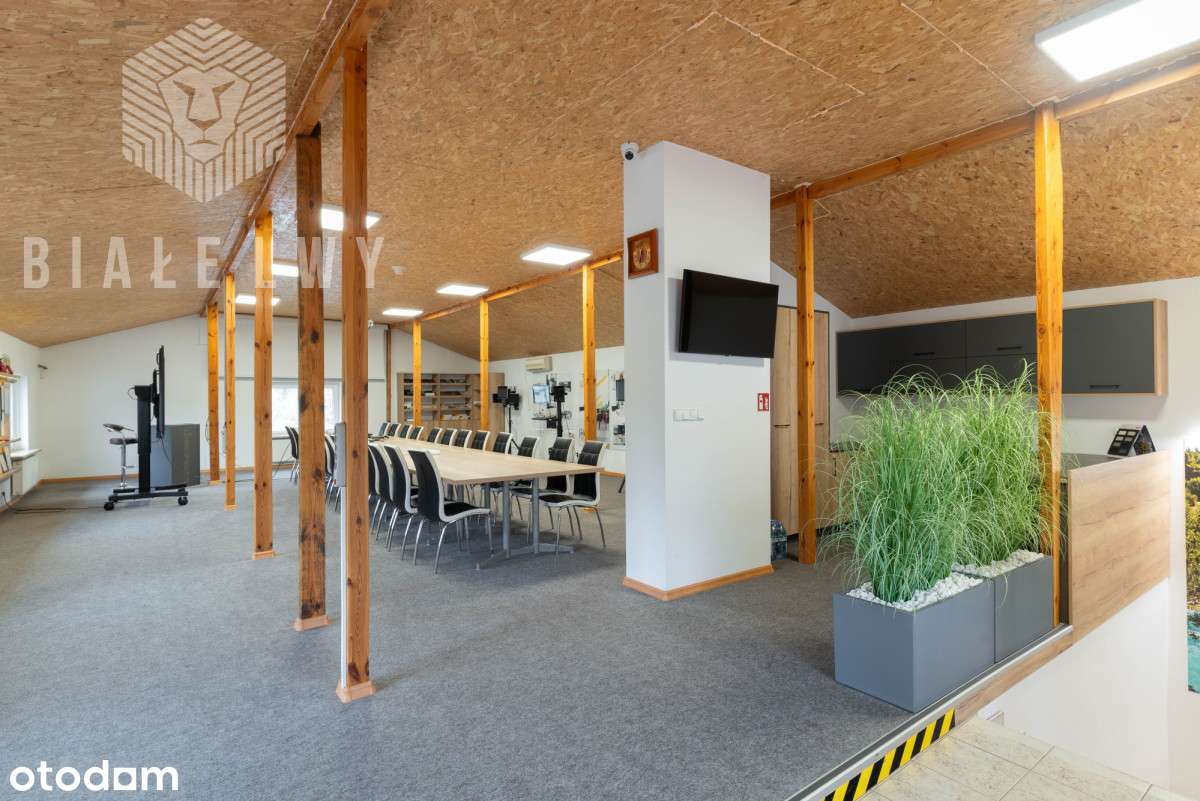 Kobyłka - Sprzedam Nieruchomość Inwestycyjną-13