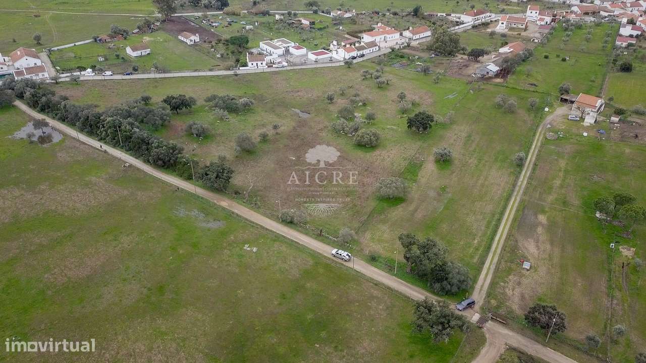 Oportunidade Única de Investimento no Alentejo - Grande imagem: 2/2