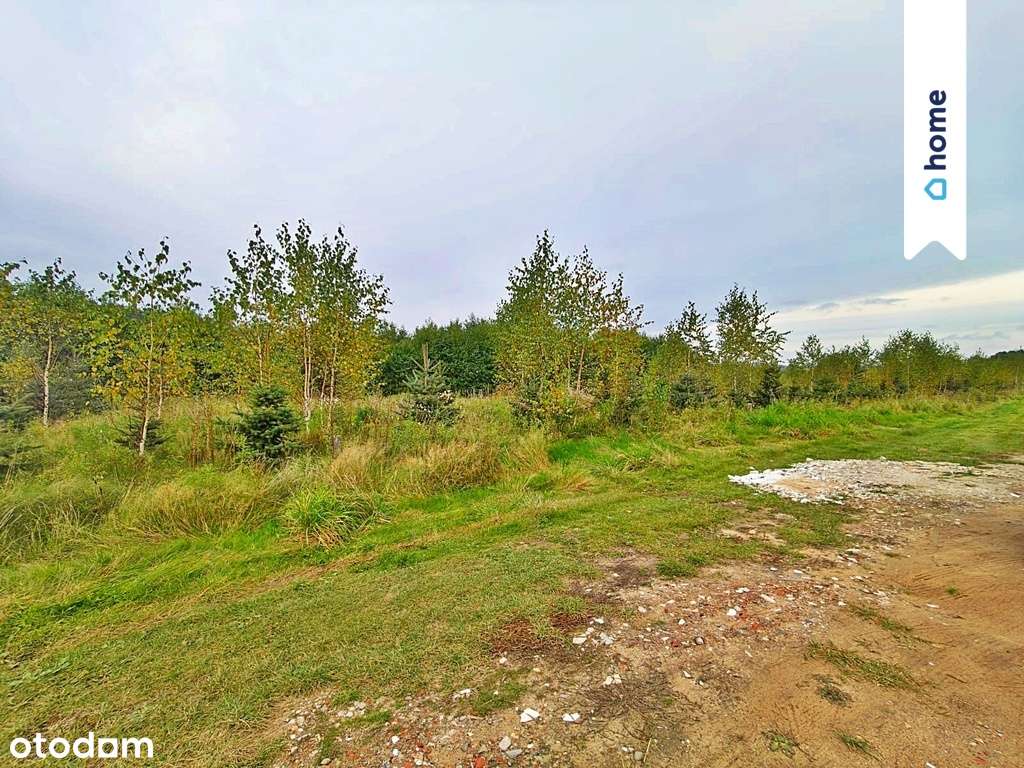 Działki z warunkami zabudoww Marcinkowie gm. Purda - Pełny obrazek: 4/4