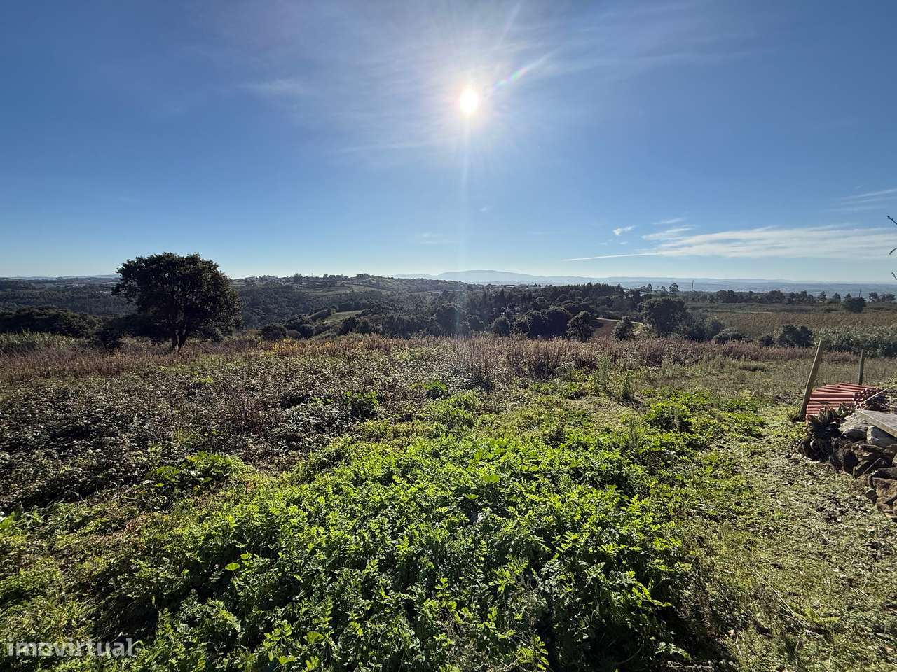 Terreno de 2.480m2 para construção - Usseira, Óbidos-19
