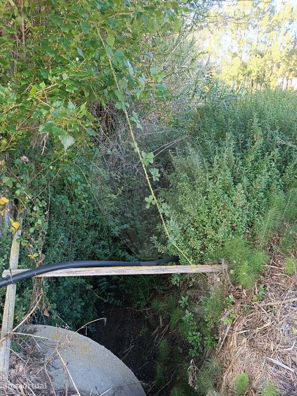 Terreno  para venda - Grande imagem: 5/9