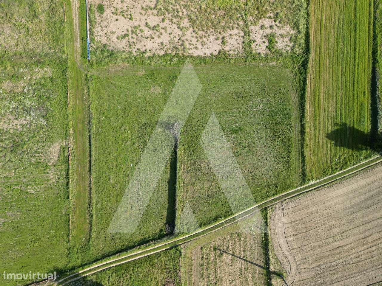 Terreno localizado em Eixo a 12 minutos de Aveiro-6