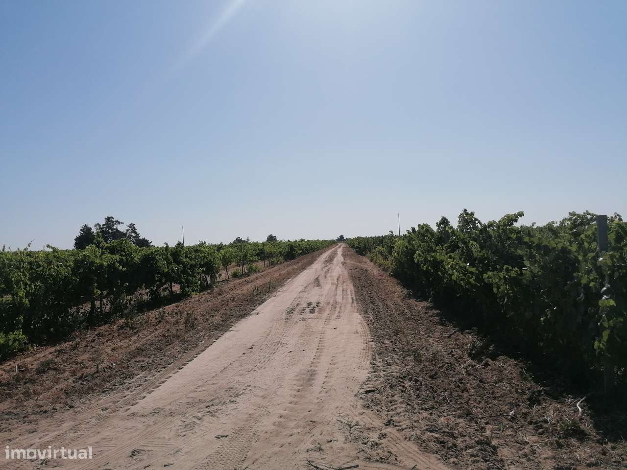 Vende-se Terreno Rústico com 57.375 m2 – Areias Gordas – Palmela - Grande imagem: 4/14