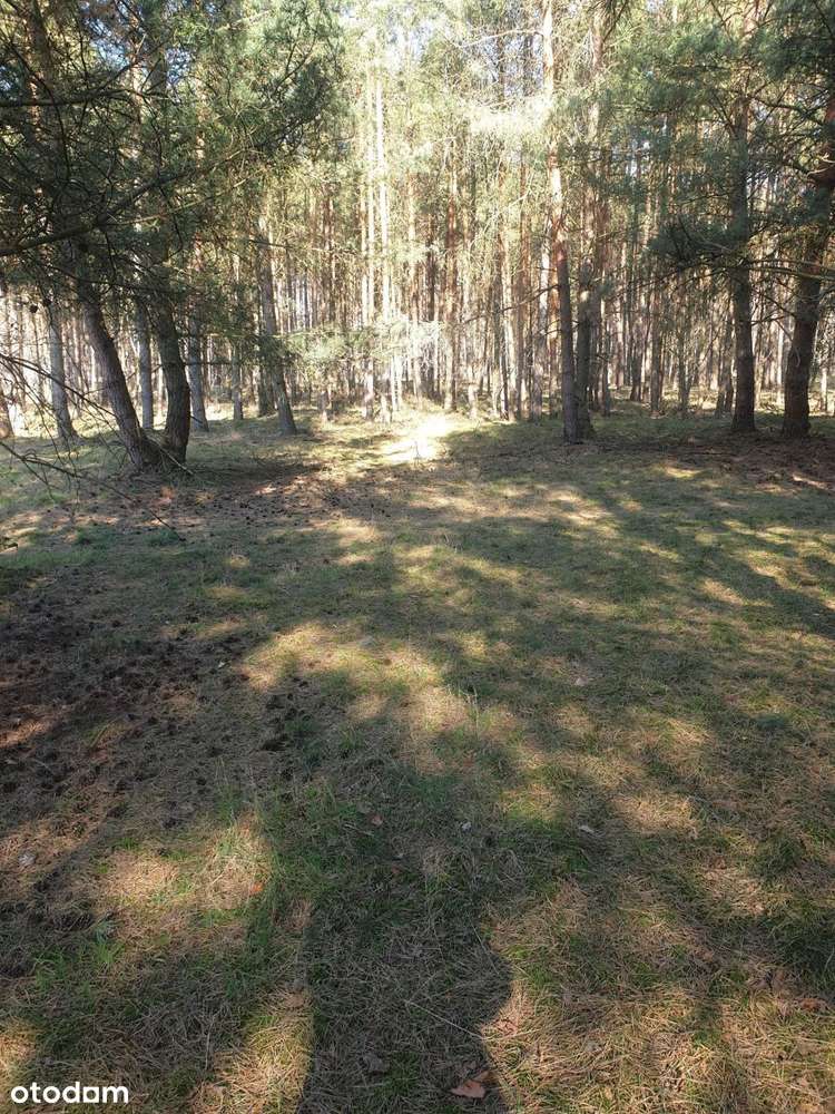 działka - Pełny obrazek: 4/12