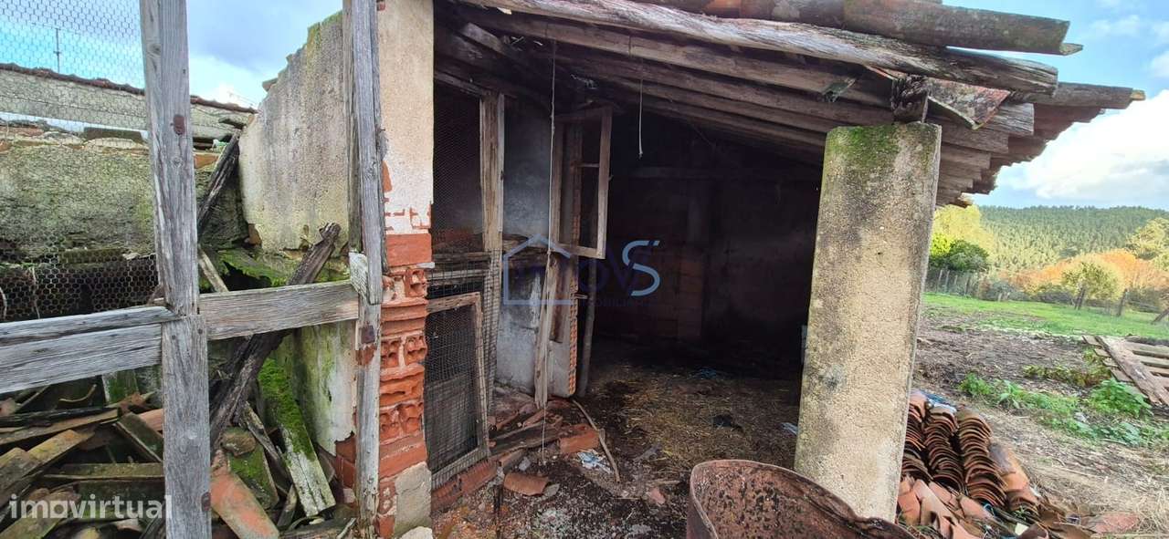 Moradia T2 para Recuperar com Terreno de 4.080 m² | Ferreira do Zêzere-22