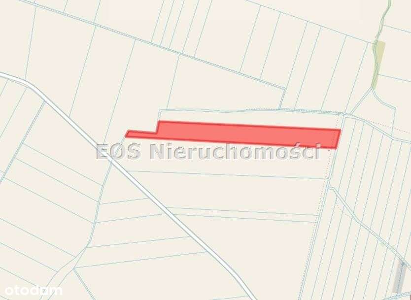 Działka, 67 700 m², Mieczków - Pełny obrazek: 4/5
