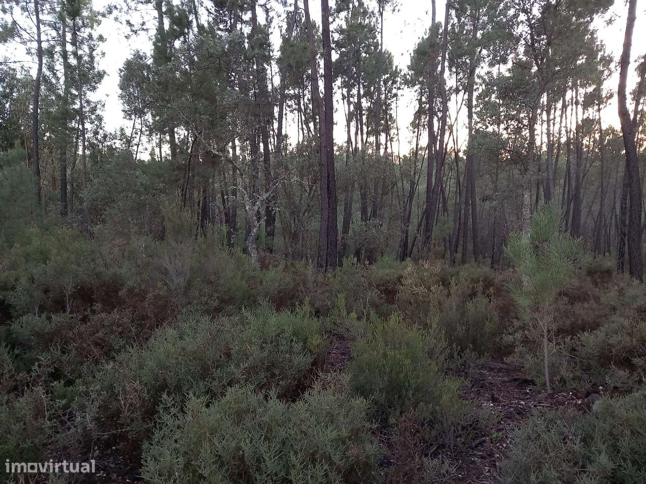 Terreno Rustico Vale Chiqueiro - Grande imagem: 4/7