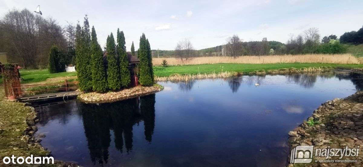 Miroslawiec - budynek mieszkalny plus budynek agro - Pełny obrazek: 4/20