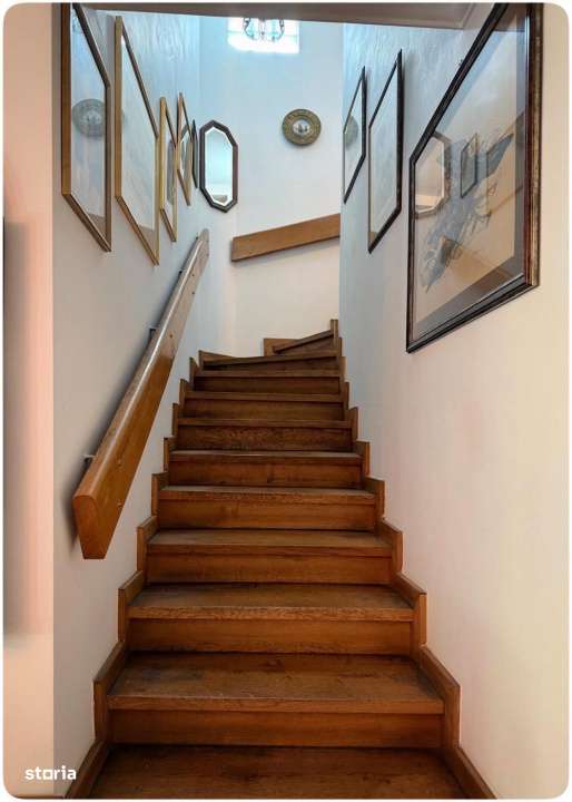 Vila cu 3 apartamente independente si gradina mare in Cotroceni-1