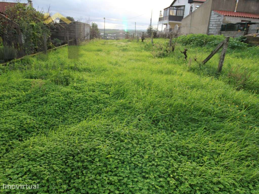 Terreno para construção de moradia na Quinta da Pipa, Castelo Branco. - Grande imagem: 5/6