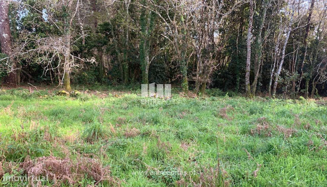 Venda de Terreno de construção, Afife, Viana do Castelo. - Grande imagem: 4/26