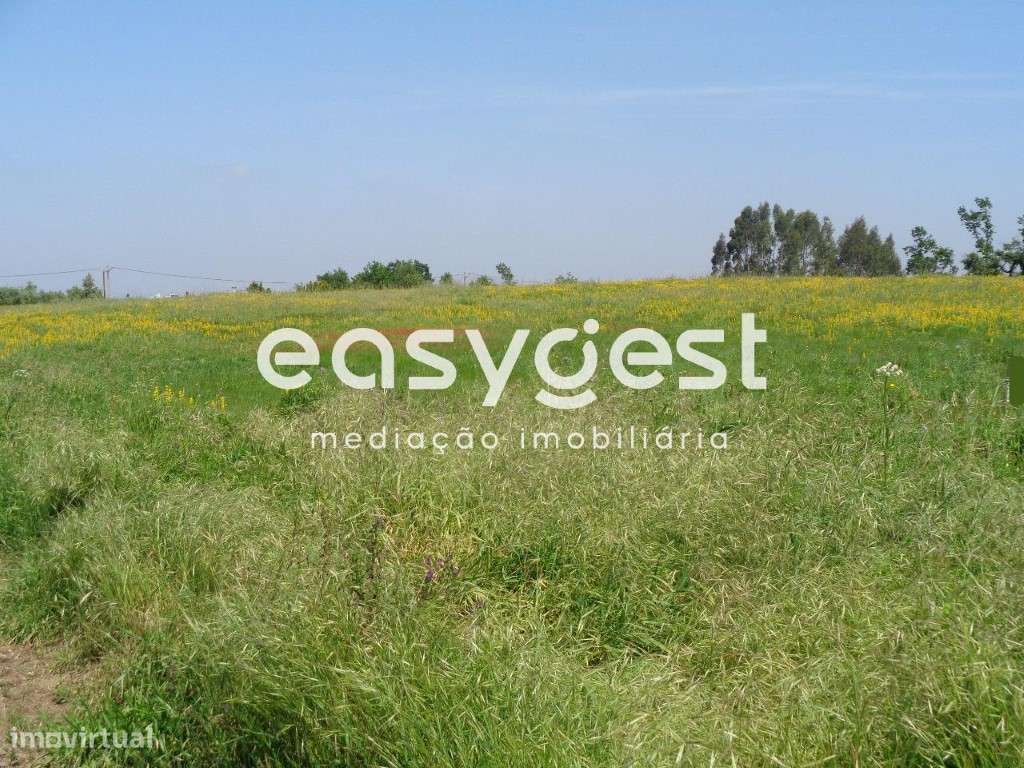 Terreno para empreendimento - Painça - Alfarelos - Grande imagem: 4/5