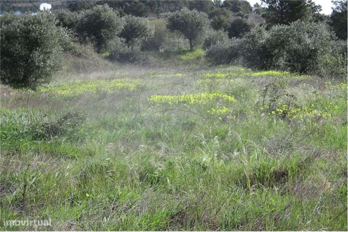 Quinta T0 para venda - Grande imagem: 4/46