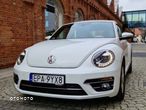 Volkswagen Beetle - 5