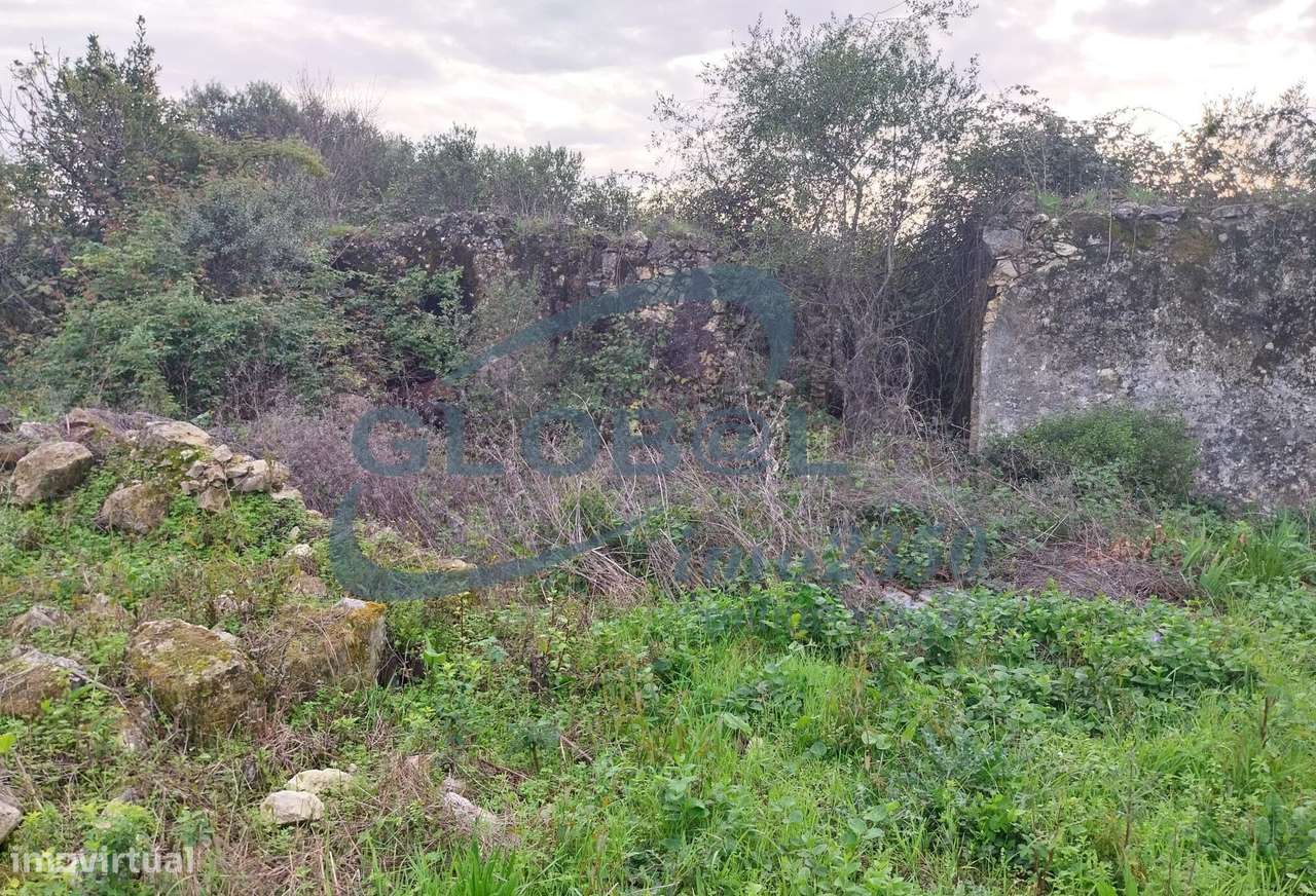 Terreno com Ruína - Grande imagem: 4/6