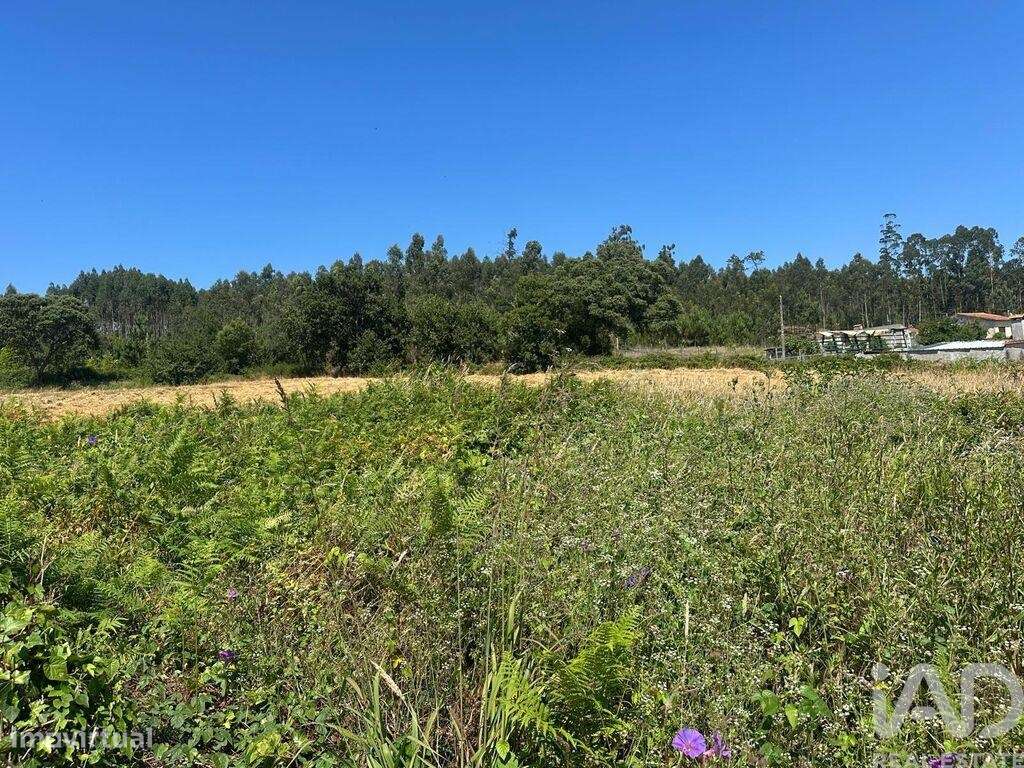 Terreno para construção em Requeixo, Nossa Senhora de Fátima e Nariz d - Grande imagem: 4/4