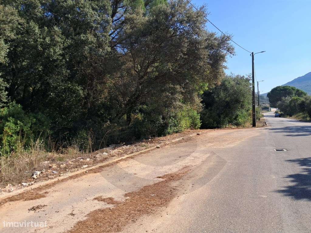 Lote para construção na Vila de Minde - Grande imagem: 2/2