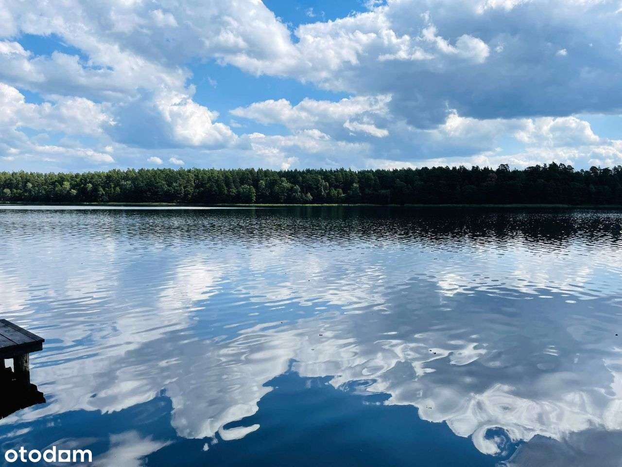 Duża działka w lesie, Jabłonka - Pełny obrazek: 5/13