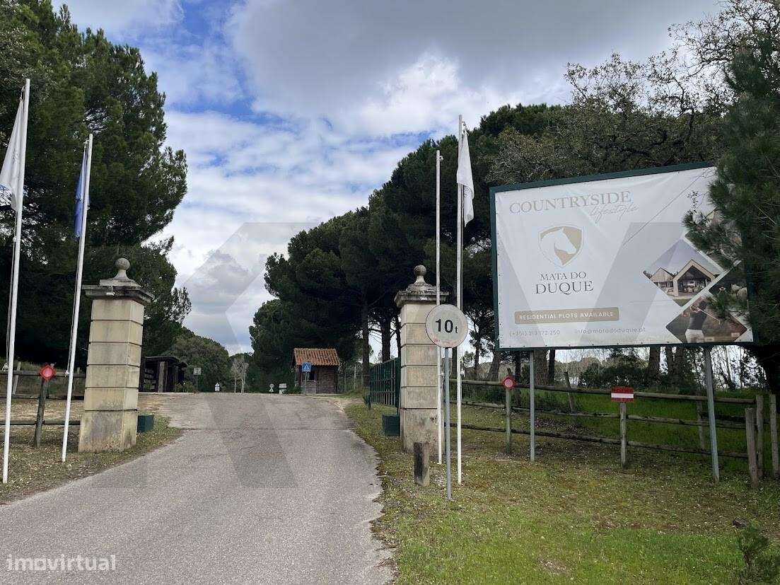 Exclusividade e Natureza: Terreno de Prestígio na Mata do Duque II - S - Grande imagem: 2/20