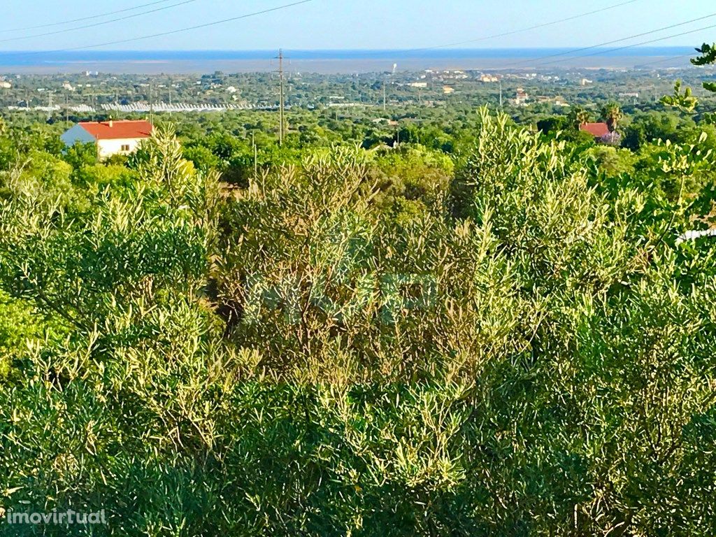 Terreno Rústico com vista mar em Estoi