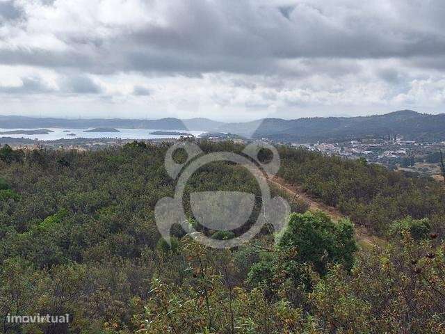 Quinta junto ao Alqueva-21